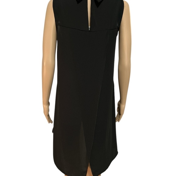 Elegant Black sheer Sleeveless Dress - Picture 3 of 5